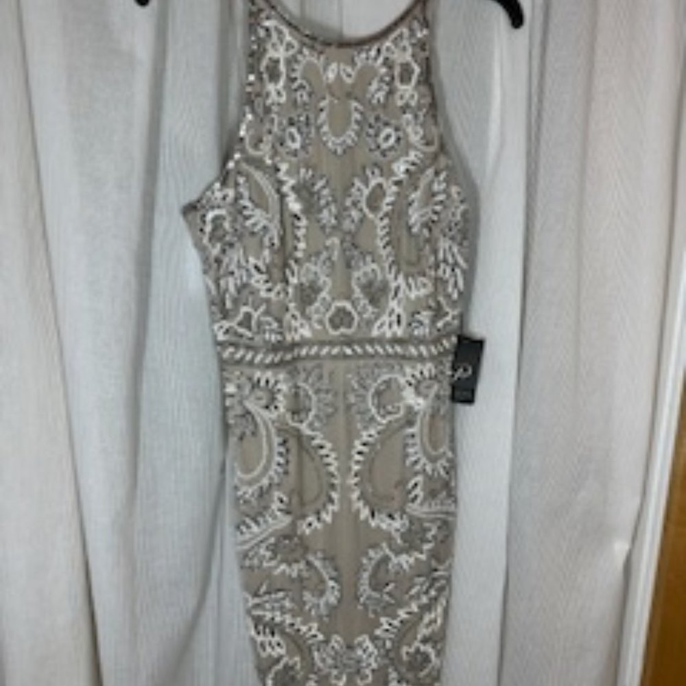 Sexy Adrianna Papell Cocktail dress